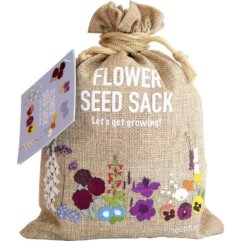 Scott&Co. Flower Seed Variety Pack, Currently priced at £12.99